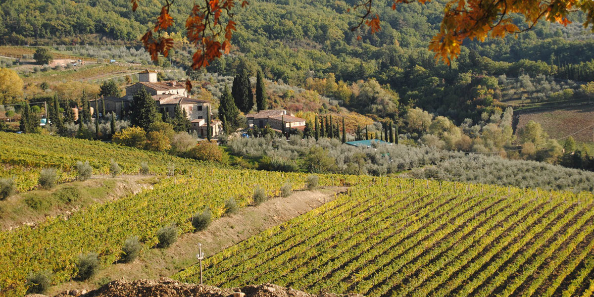 castellina in  chianti