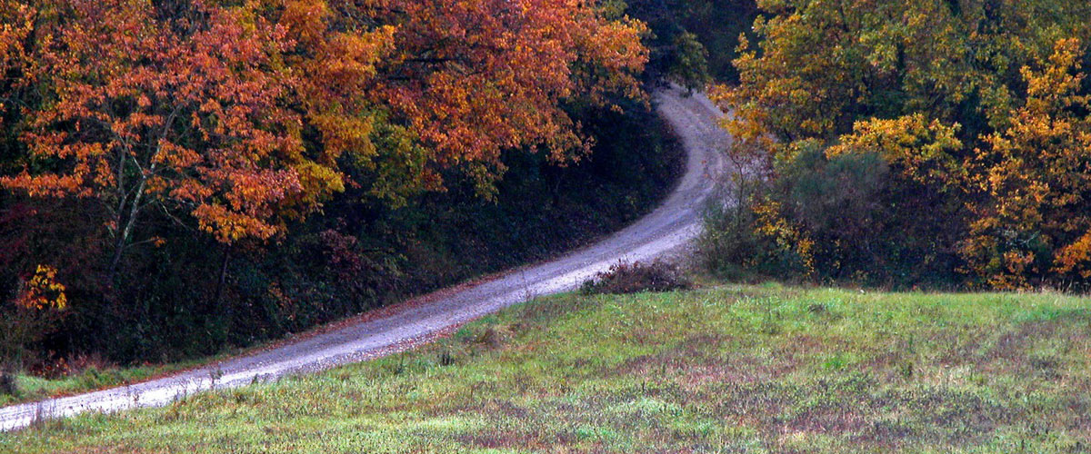itinerari castellina in chianti
